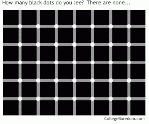 Ilusi Mata - Melatih konsentrasi Black-dots-optical-illusion1